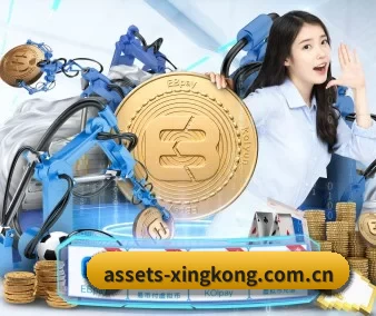 assets-xingkong.com.cn的方向